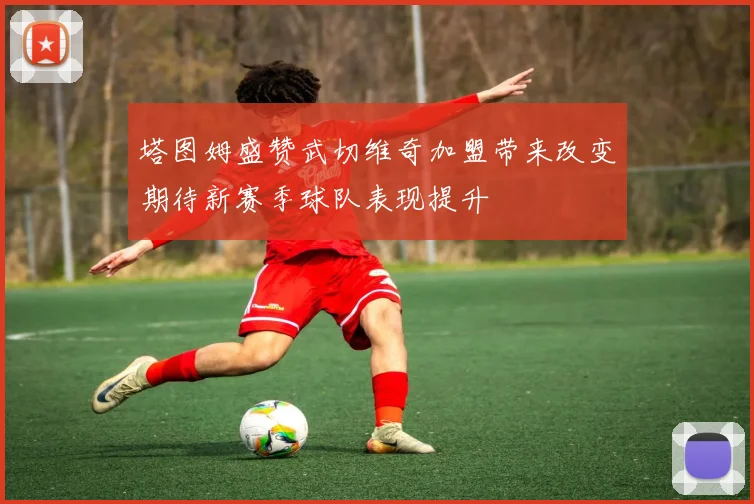 塔图姆盛赞武切维奇加盟带来改变期待新赛季球队表现提升