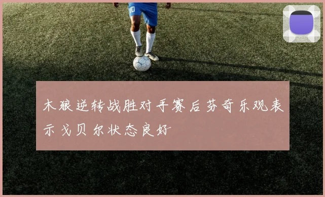 木狼逆转战胜对手赛后芬奇乐观表示戈贝尔状态良好