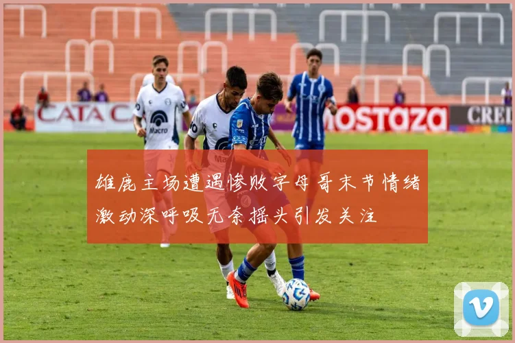 雄鹿主场遭遇惨败字母哥末节情绪激动深呼吸无奈摇头引发关注
